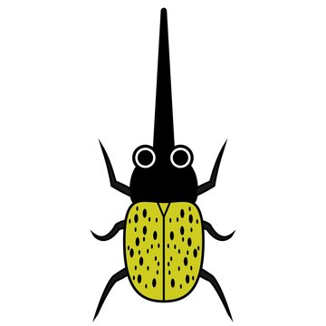 ヘラクレスオオカブト