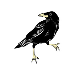 black crow sticker