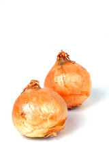 yellow onion isolated on white