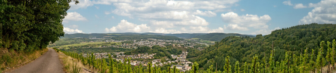 Fototapeta na wymiar Panorama from Vineyard in Germany
