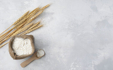 Wheat white flour in a canvas bag on a white-gray concrete background. Wheat spikelets and a wooden spoon in the background