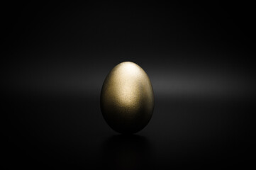 Golden egg against a black background. The golden egg - a symbol of financial success, wealth, luxury and luck.