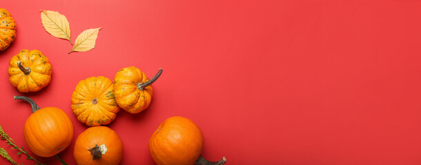 Composition with fresh pumpkins on color background with space for text