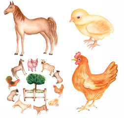 Farm Animals Clipart, Watercolor hand drawn horse and cock Clip art, Cute chick illustration, chicken clip art, Village set, wreath