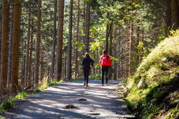Obraz premium Group of hikers in the Krkonose Mountains on the trail towards the Snezka