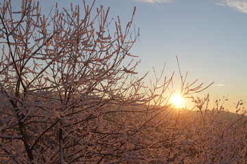 Frozen morning at moutains with first snow at branches dawn daybreak