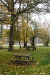 Vieuw of picnic area under the autumnal trees in border the road