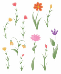 Set of colorful vector flowers