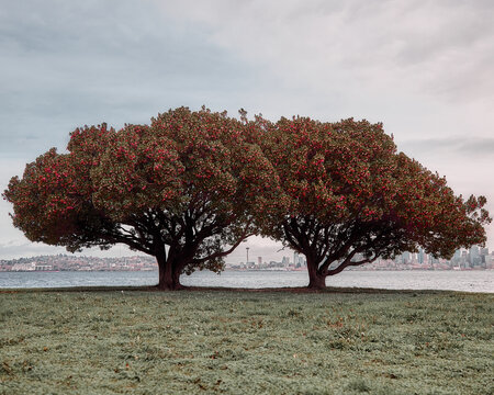 Olympic National Park For