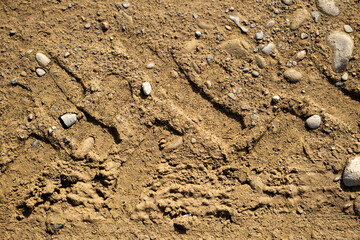 Close up  view of muddy tyre track on the country road