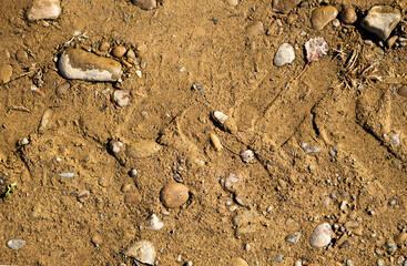 Close up  view of muddy tyre track on the country road
