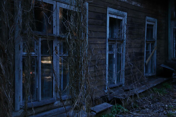 the wall of an abandoned wooden house with windows overgrown with ivy