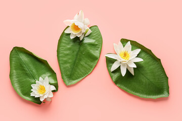 Obraz na płótnie Canvas Green leaves and white lotus flowers on white background