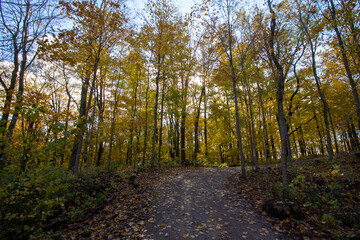 Fototapeta premium Canadian Natural Area in Fall