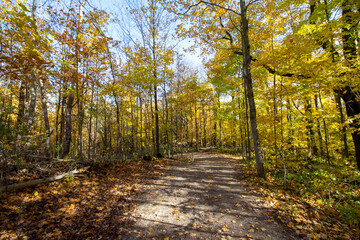 Canadian Natural Area in Fall