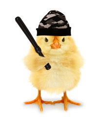 Angry chick hooligan delinquent bully criminal with fighting baton funny conceptual image. Bullying problem or troublemaker concept © Uros Petrovic