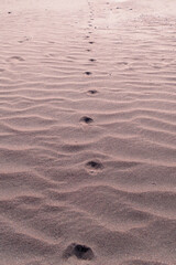 Fototapeta na wymiar Trail of footsteps in the desert sands. Journey, enlightenment metaphorical concept image.