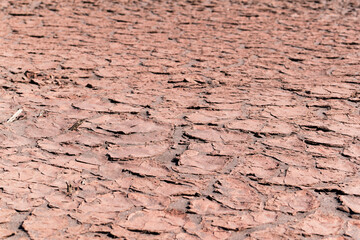 Cracked, dry land in an arid climate area, texture close up.
