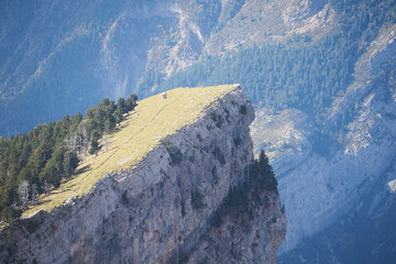 terrace of a cliff in the ordesa valley