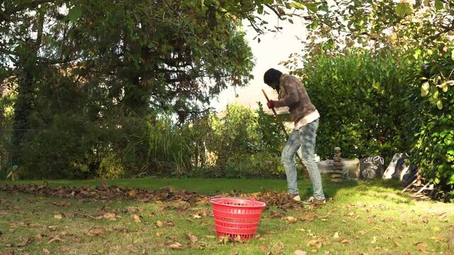 Woman rakes her garden off foliage in late afternoon at autumn. Episode 1.