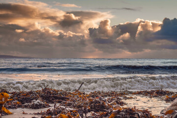 Sunset sky over Atlantic ocean. Sea weed on the sand in foreground. Cool and warm tones. muted...