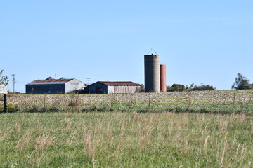 Fototapeta na wymiar Barns and Grain Silos in a Farm Fiedl