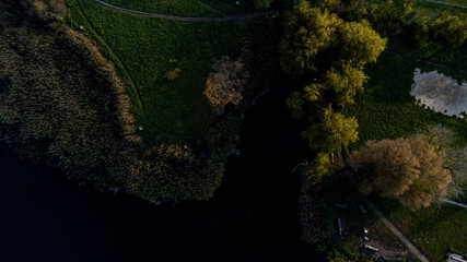 christmas tree in the night
