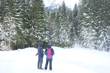 couple two man, father and son walk in the mountains, taking pictures, winter landscape, beautiful winter natural landscape, walks in winter white forest