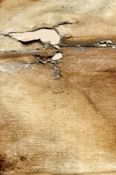 Torn Piece of Painted Art Canvas