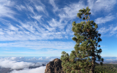 Gran Canaria, central montainous part of the island, Las Cumbres, ie The Summits, landscapes around Pico de las Nieves, the highest point of the island

