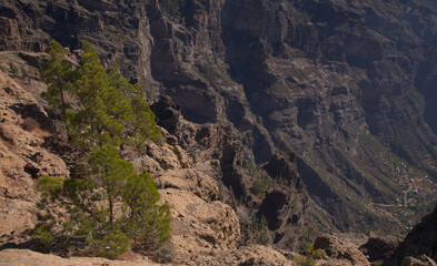 Gran Canaria, central montainous part of the island, Las Cumbres, ie The Summits
