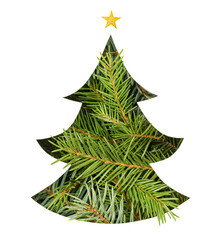 christmas tree with fir branches on white isolated background, christmas concept