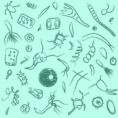 Vector Image, Which Depicts Various Microorganisms, Such As Bacteria, Viruses, Protozoa, Unicellular And Others. Blue Color. Doodles.