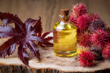 Castor oil bottle with castor fruits, seeds and leaf. Ricinus Communis plant oil. Turkish name;...