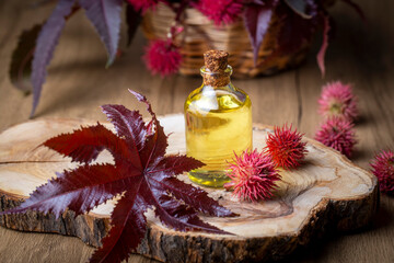 Castor oil bottle with castor fruits, seeds and leaf. Ricinus Communis plant oil. Turkish name;...
