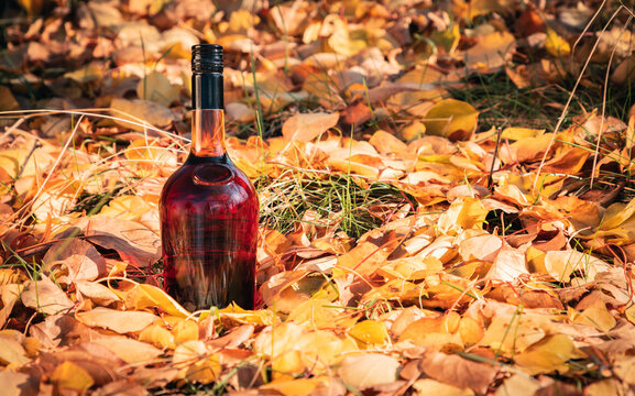 Bottle of alcohol drink with yellow leaves in the background.