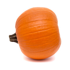 Round orange pumpkin isolated on white background