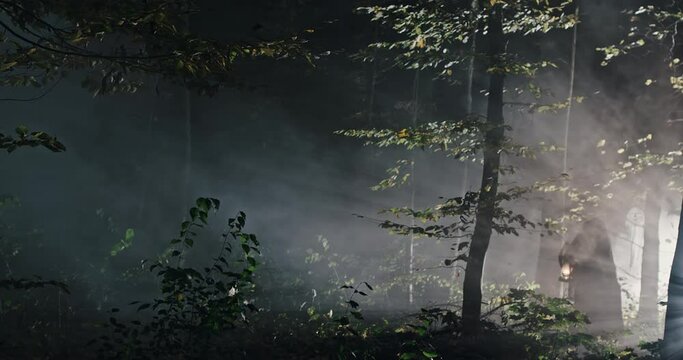 Mysterious woman walking in night forest