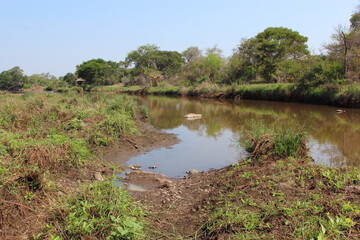 Sweni River / Sweni River /