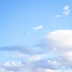 Plane in the sky