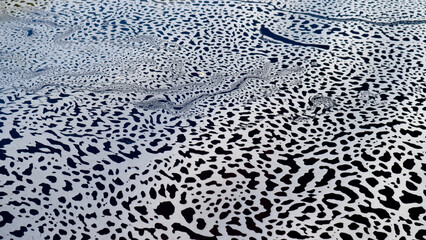 In Chapada Diamantina, the rivers form these amazing foam patterns on the surface. Shot with Sony a7iii