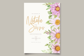hand drawn daisy floral card set