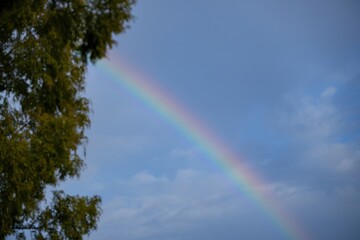 雨上がりに見た虹の情景