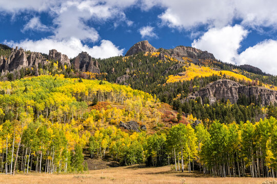 Stony Ridge Autumn In Uncompahgre National Forest