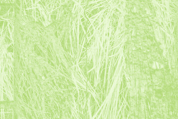 abstract light green background with copy space for design