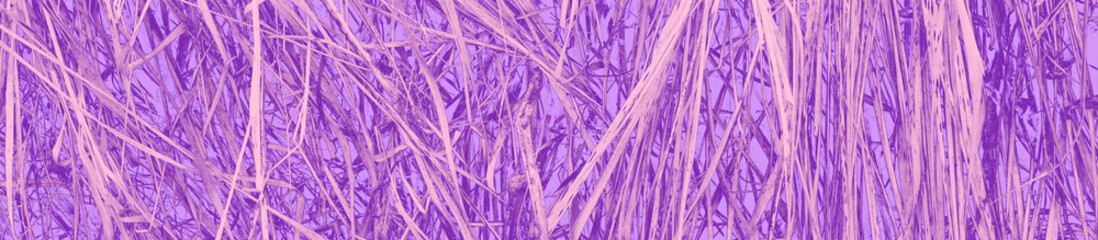 abstract violet; pink and purple colors background for design