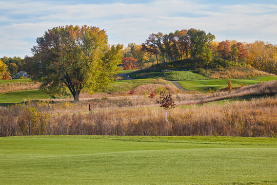 Colorful golf course on a lovely fall day with leaves changing colors and perfect green grass