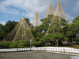 六義園の雪囲い