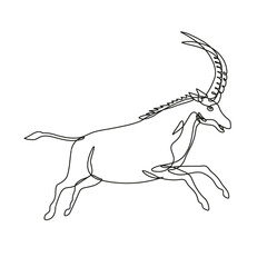 Continuous line drawing illustration of a black sable antelope or Hippotragus niger jumping viewed from side done in mono line or doodle style in black and white on isolated background. 