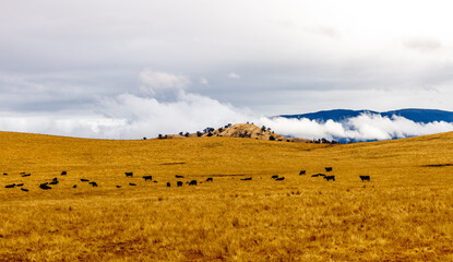 Clouds rolling over the hills